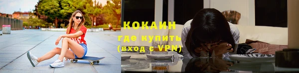 дживик Каменка