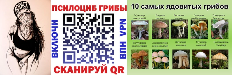 купить наркотик  Ряжск  Псилоцибиновые грибы прущие грибы 